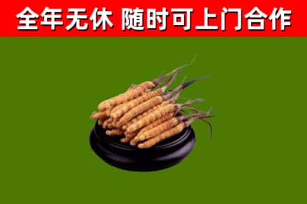 合江县烟酒回收冬虫夏草.jpg